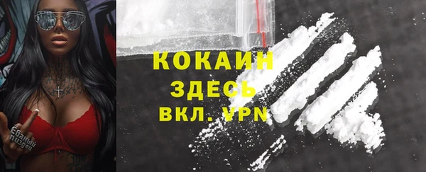 бошки Богородицк