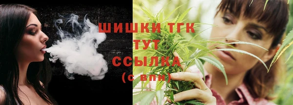 тгк Богданович