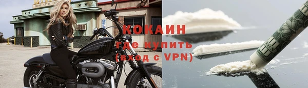 тгк Богданович