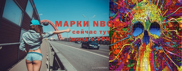 бошки Богородицк