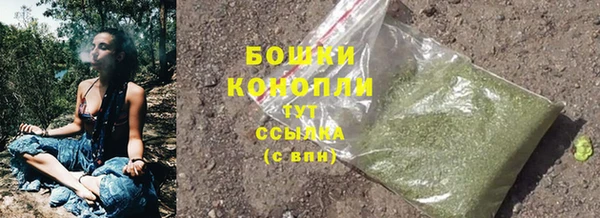 бошки Богородицк