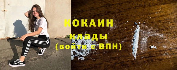 тгк Богданович