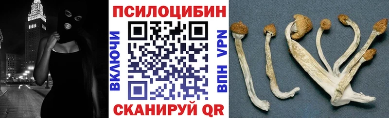 Псилоцибиновые грибы ЛСД хочу Щигры